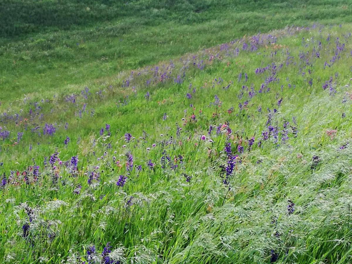 مبيت وإفطار Selva di Progno Il Sanco المظهر الخارجي الصورة